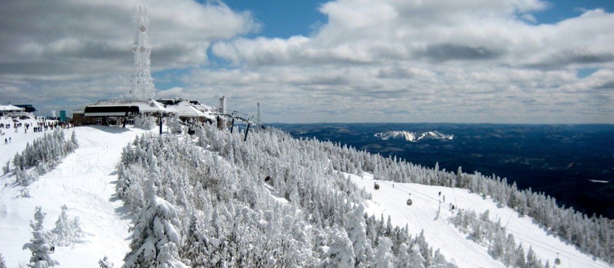 ZERO1 Montréal tweet media