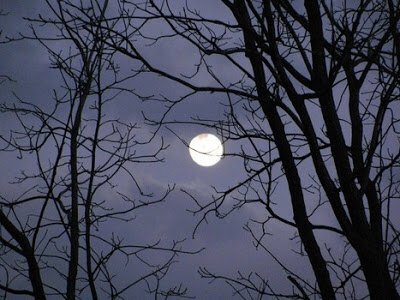 kolleen_bell's tweet photo. #EDtime2wrt Thoughts about the Snow Moon. Teachers write too! @RoseCappelli,@LynneRDorfman https://t.co/2CaoO78co1