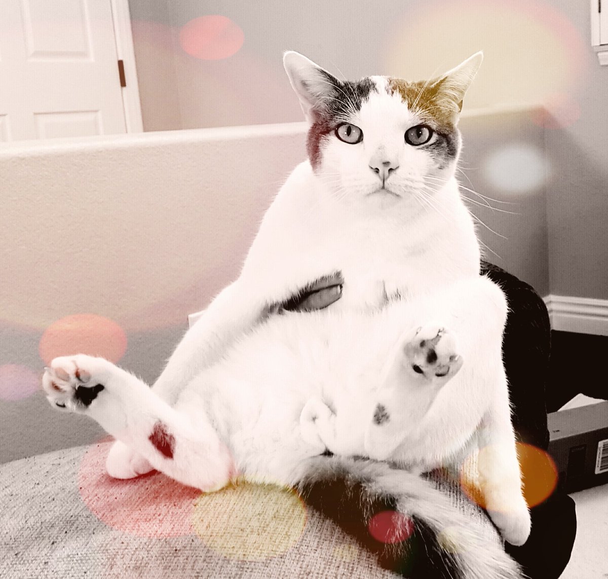MatPatGT tweet picture