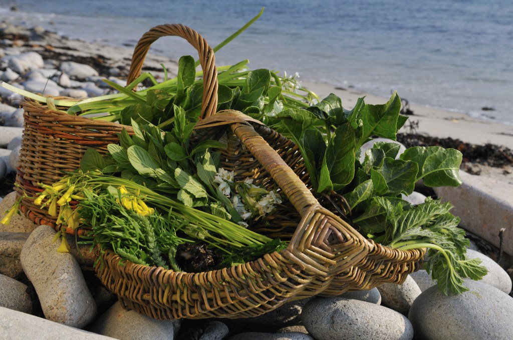 Foraging and the Future of Food – Saturday 27th February transitionstourbridge.co.uk/2016/02/25/for…