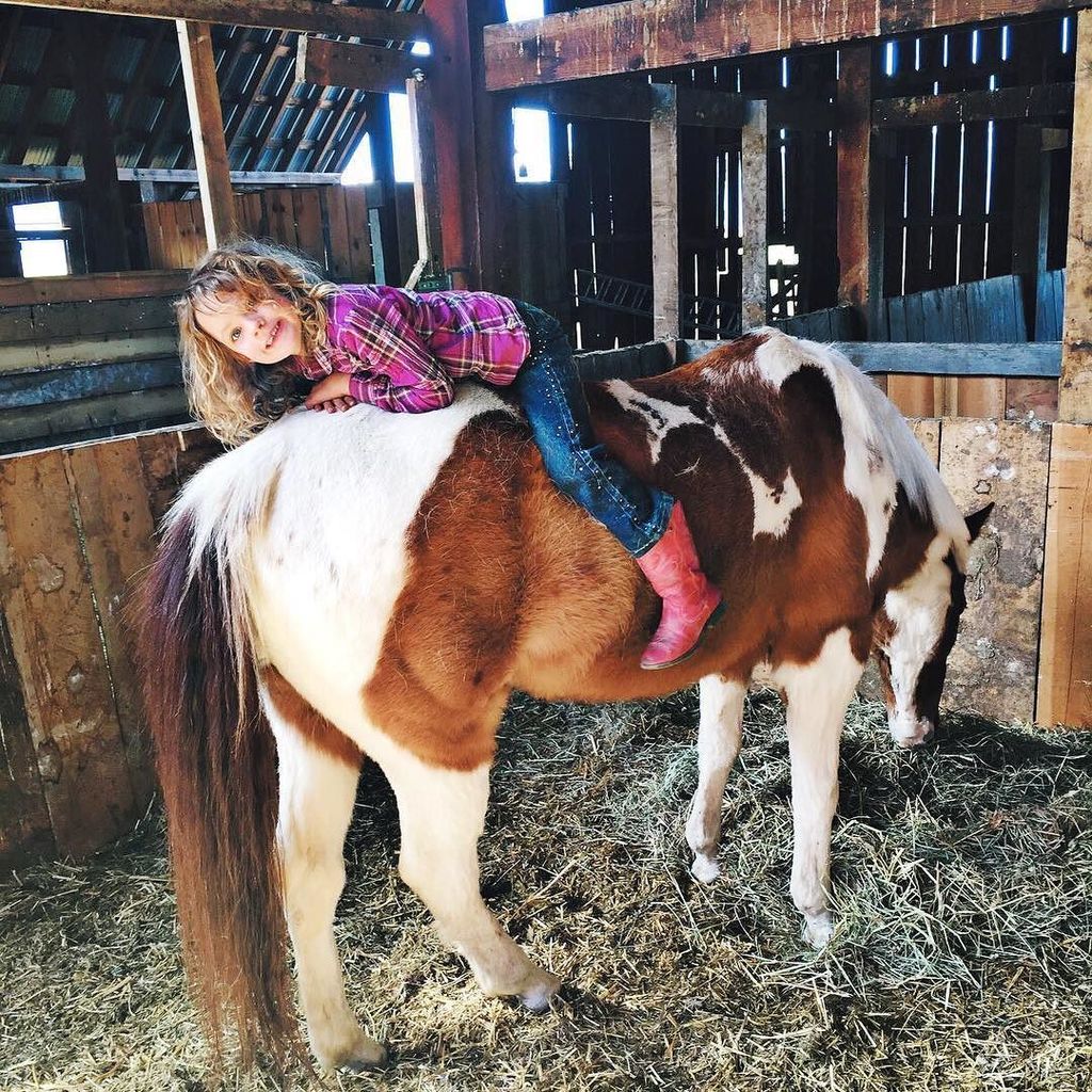 FiveMarys's tweet photo. Happy JJ with her sweet pony - they weneigh to each other over the fence because JJ 'speaks horse' apparently! #apr… https://t.co/lzKikrQZa2