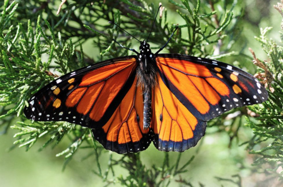 ZERO1 Montréal tweet media