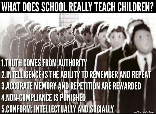 The Mass Deception (@massdeception1) on Twitter photo 