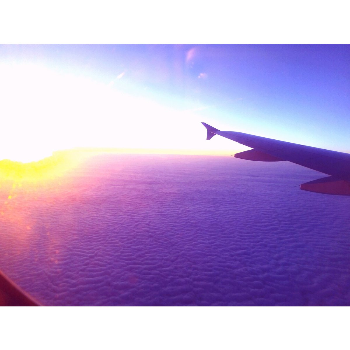 Viianney8's tweet photo. #ViajeDeLocura  #BostonTexas😍👏🙊 https://t.co/srqqvxgG8s