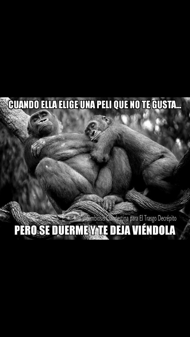 manusanchezga's tweet photo. @stefifg https://t.co/DzR3hf2ahN