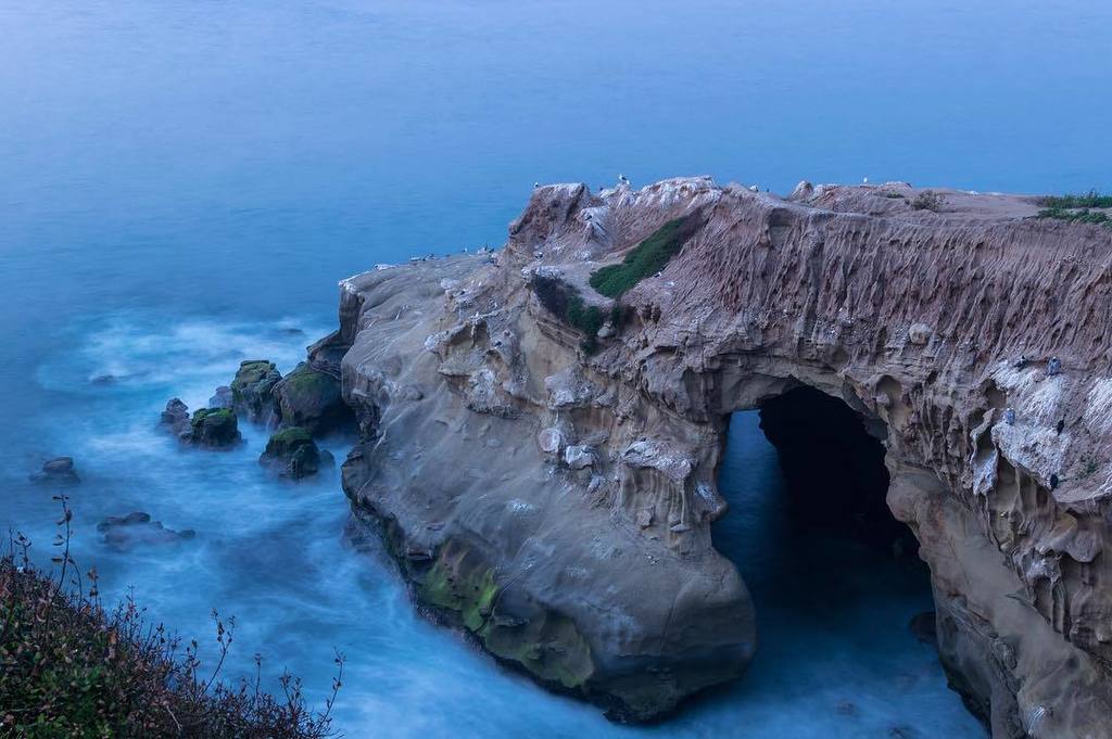 CaTurfPros's tweet image. Fleeting moments of the foggy sunset the other day. 
#ig_masterpiece #bindebros #watchthisinstagood #california_ige…