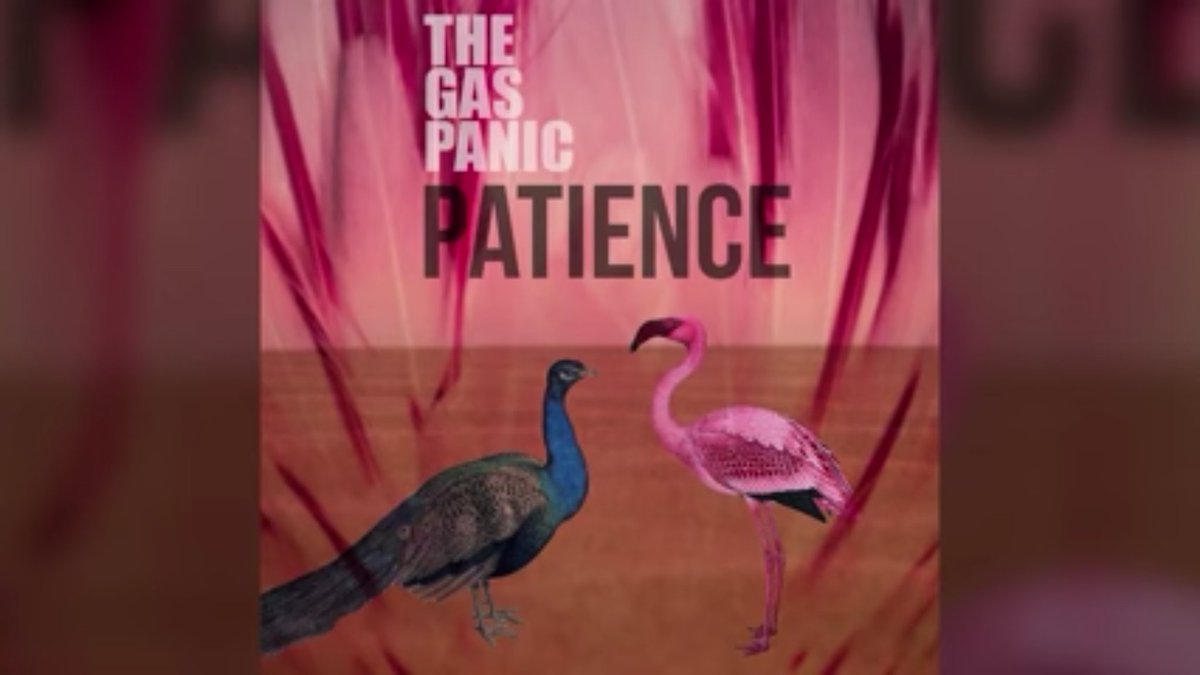 TheGasPanicFans's tweet photo. Have You Heard It Yet??

SHARE SHARE SHARE

@TheGasPanic - You Heard It First https://t.co/nUPwY0h6vQ https://t.co/BUC5h1OS3Q