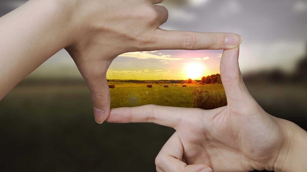 SnapMunk tweet media