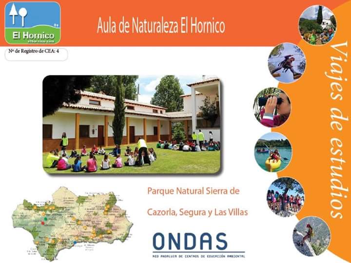 HORNICO1's tweet photo. @OndasRed #viajesdeestudios #parquenaturalsierrasdecazorlaseguraylasvillas https://t.co/7S4yfiBFlV 670657840 https://t.co/zvVI9uO6kX