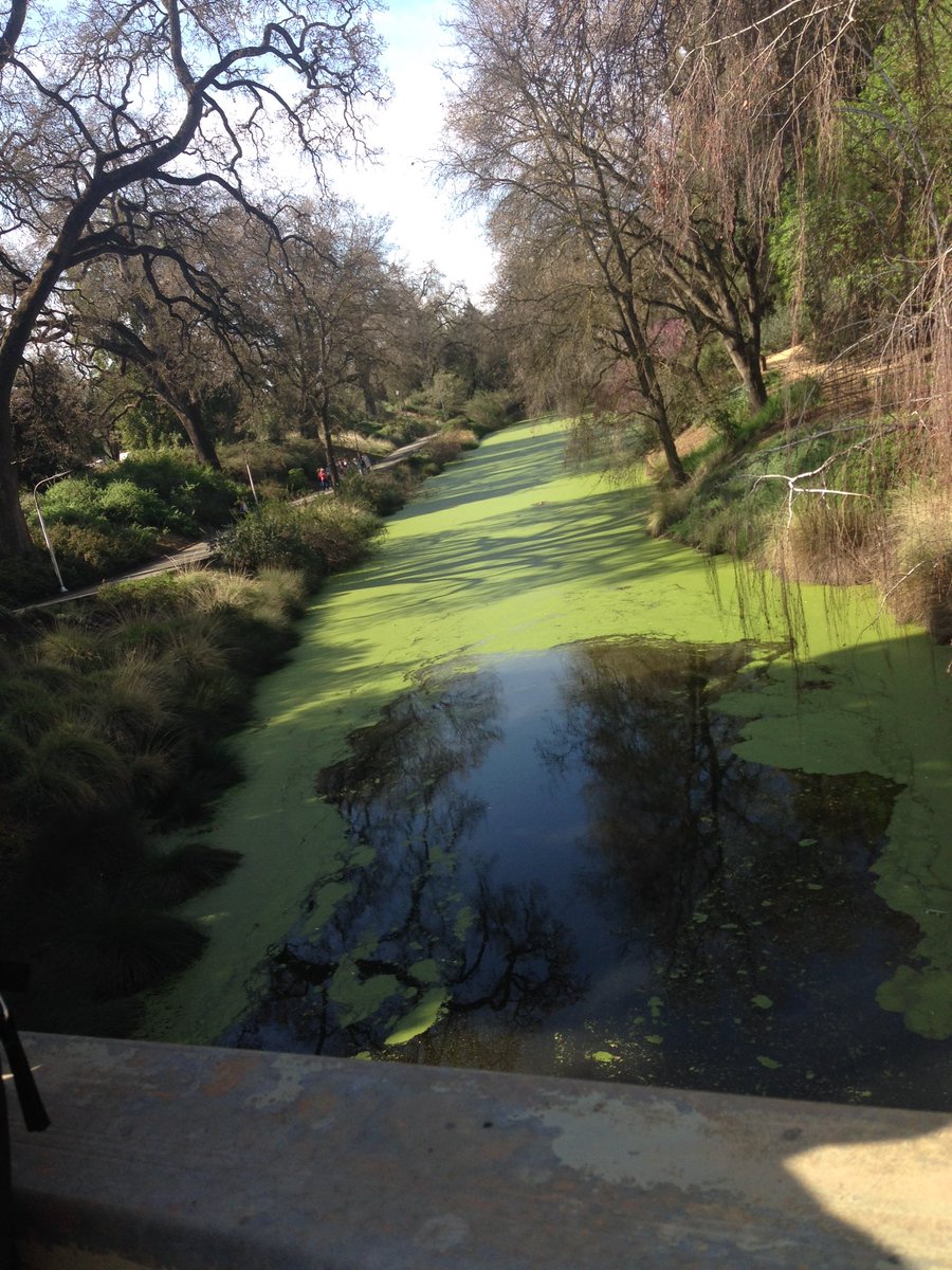 AHA_lisette's tweet photo. #ucdavis @AHA_Lev https://t.co/B1z1l83UC5