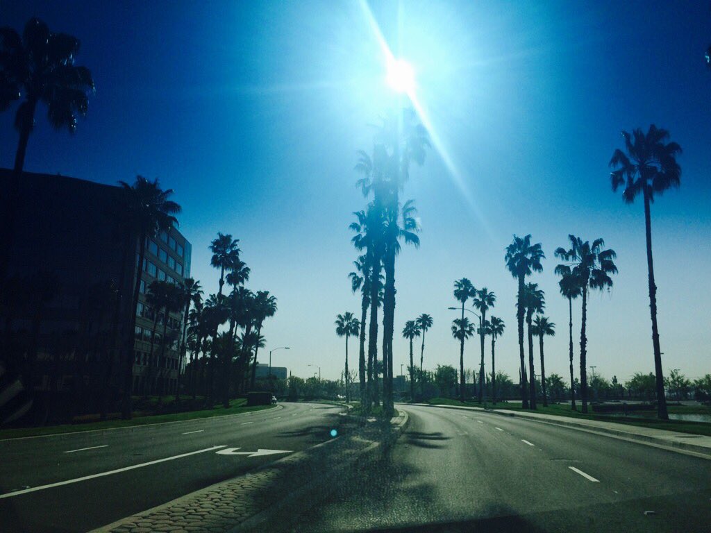 GofbaAds's tweet photo. "Opportunities are like sunrises. If you wait too long, you miss them." - William Arthur Ward https://t.co/sf7ZBf8Wr7