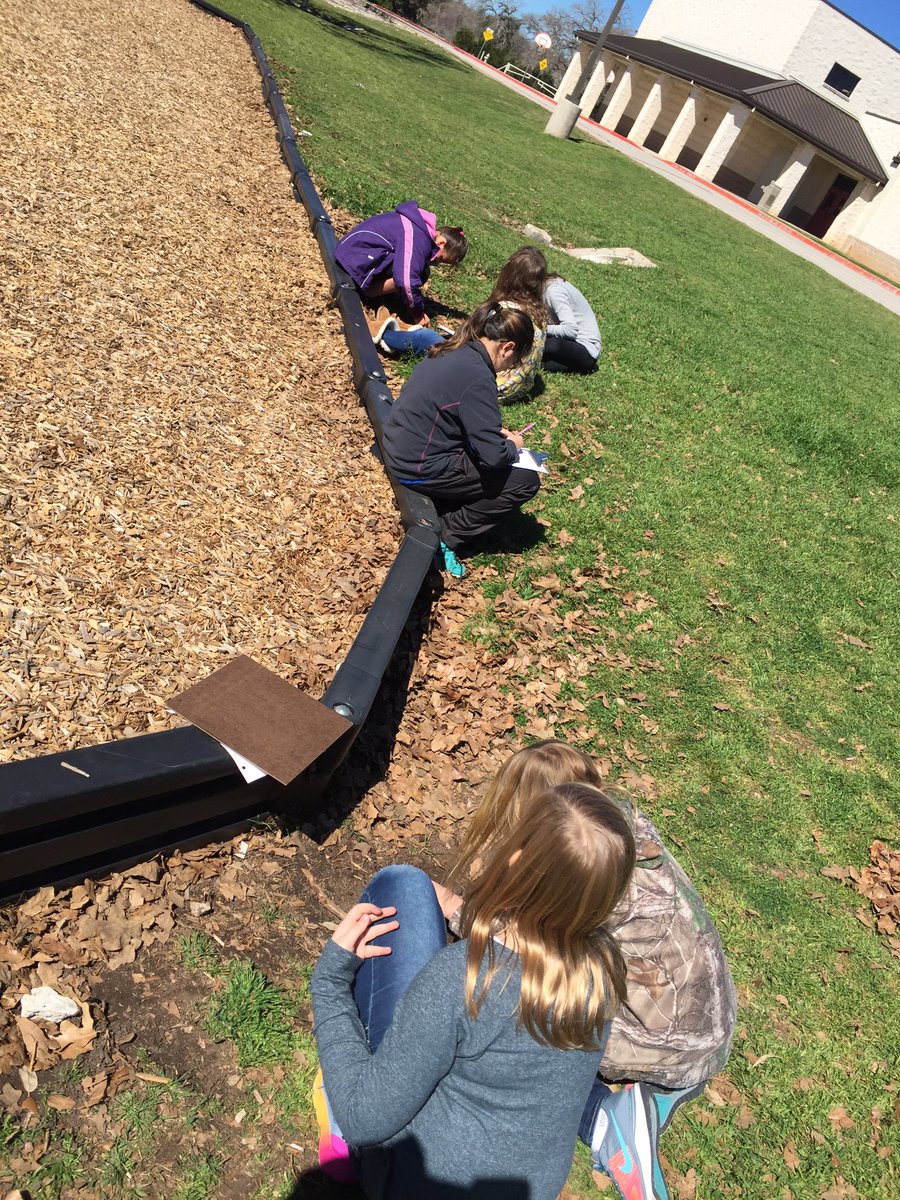 Ford 5th Grade tweet media