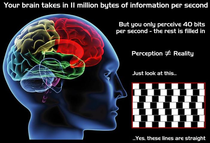 Your brain is a pattern recognition machine, but it doesn't always get it right.