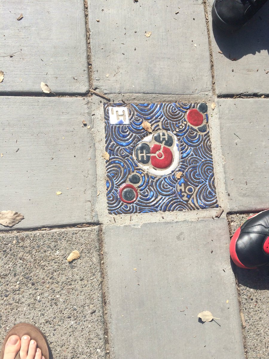 AHA_hanamrob's tweet photo. @AHA_Lev #doingscience #UCdavis https://t.co/QY8RQ76Vns