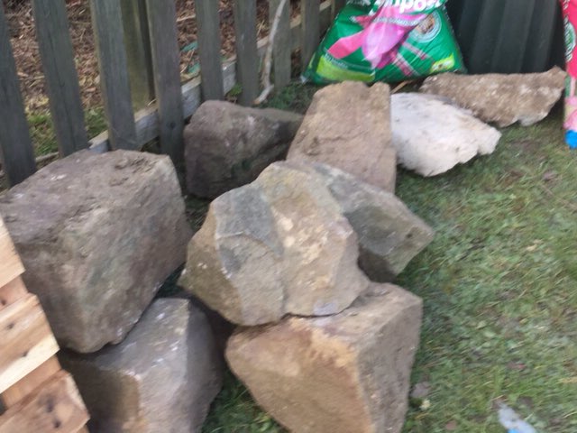 FreshwatersAcad's tweet photo. Thanks to Mr Alderman who sought and carried these heavy rocks for us #FreshForest #Hercules https://t.co/c4tw84Ogfo