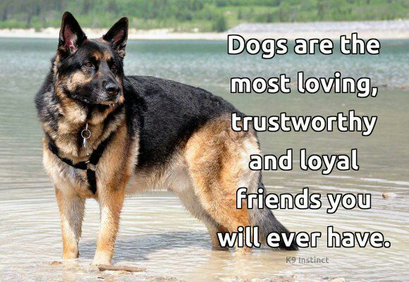 Jen_Sully's tweet photo. https://t.co/BZzFm9jTCb