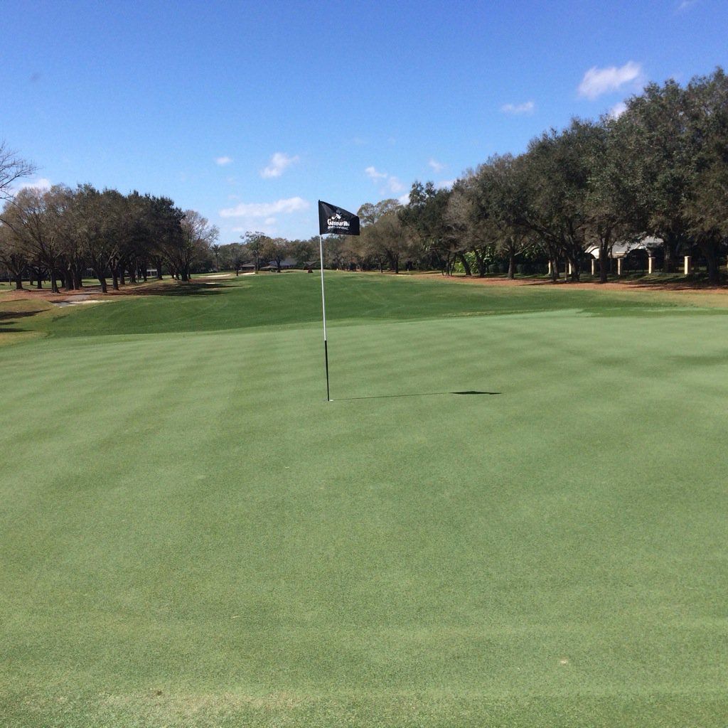 matteich3's tweet photo. First day of the Gasparilla Invitational. Windy conditions and greens rolling a 12. #threeputts  #leaveseverywhere https://t.co/I7N2r90UPe