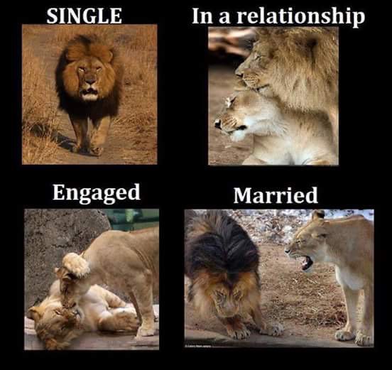 VRavidhas's tweet photo. Is it really true or from male side????????? https://t.co/Ew4bROfJKr