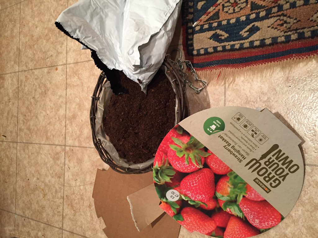 SarahGough3's tweet photo. @Homebase_uk so I've just paid for a basket of dirt #wherearemyseeds https://t.co/dsrXJOkUeV
