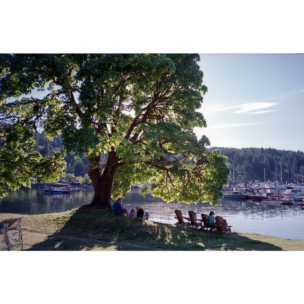 EhPem's tweet photo. #QuadraIsland summer in Heriot Bay.
#believeinfilm #filmsnotdead #filmphotography #shootf… https://t.co/UBZgrmbRJE https://t.co/utkRFClrmT