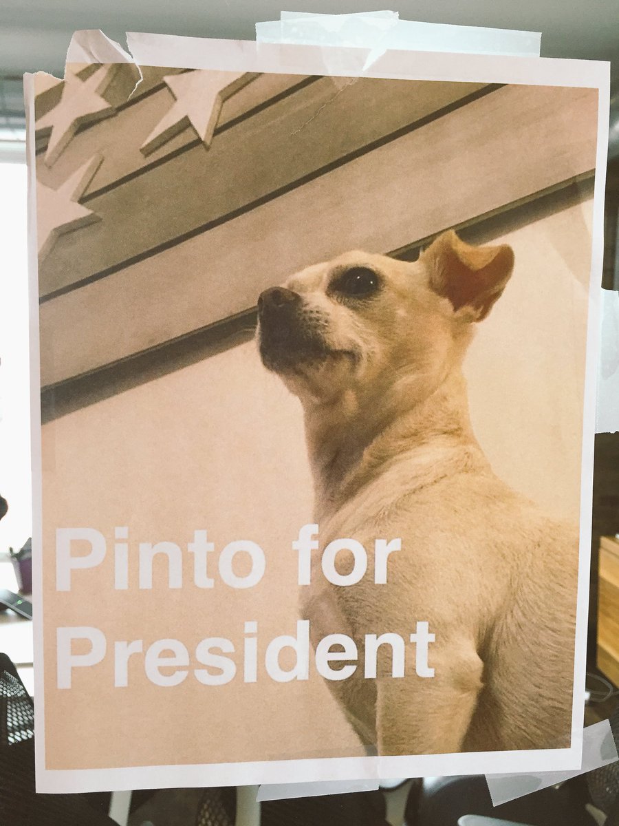 jgordonwright's tweet photo. A sad day at @edu_post with @HannaGraceFrank's departure. But it's for a good cause. #PintoForPresident @i_saleem https://t.co/YsAoFfihjm