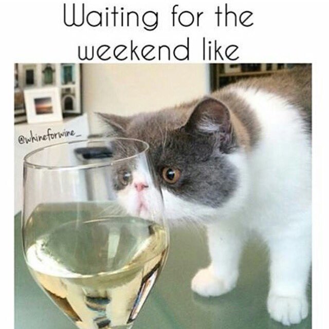 TheATTIC_LA's tweet photo. We have almost made it to the #weekend 🙏🏻 #ThirstyThursday #theATTIC https://t.co/S5MxBoqKE4