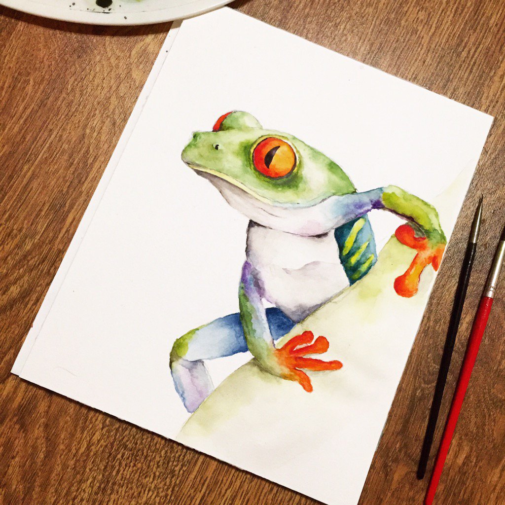 StaceyTkachenko's tweet photo. Frogs are in danger! #wildlife #wwf #greenpeace #frogs #mycosis https://t.co/nK8SjEoNJF