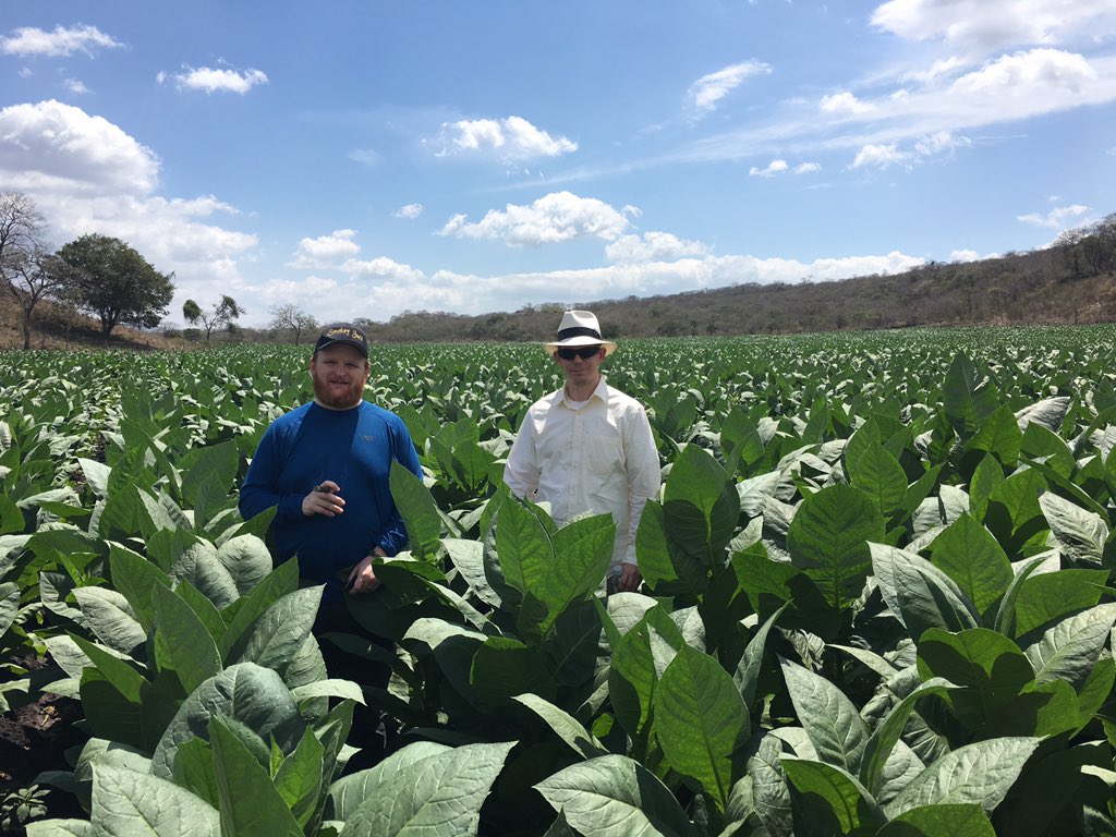 SmokeyJoesCigar's tweet photo. Ever wonder what the cigars of 2020 look like now https://t.co/RWxDAMfhBn