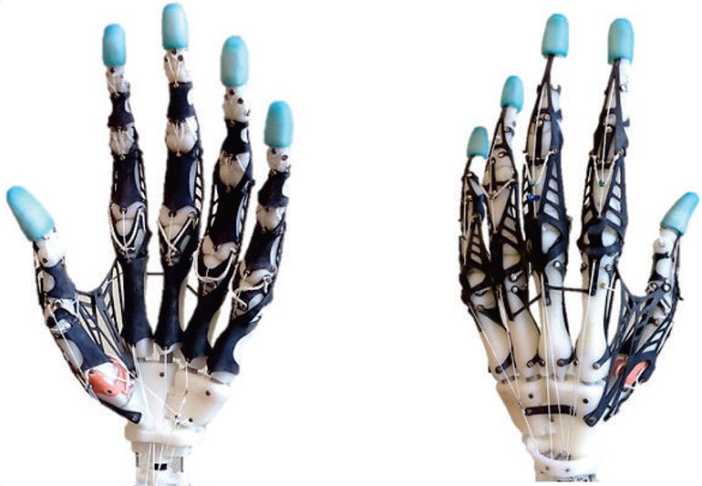 3dPrintedJobs's tweet photo. This Could Be the Most Biomimetic Prosthetic Hand Yet https://t.co/HC6iug1t41 #prostetic #3dprinting #biomimetic https://t.co/zLsKC0MYve