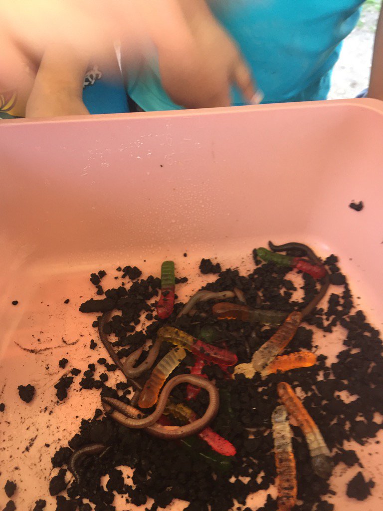 vanessastoltz's tweet photo. #hfsoars Comparing living/non living #hgodwin87 https://t.co/nDt289eI8s