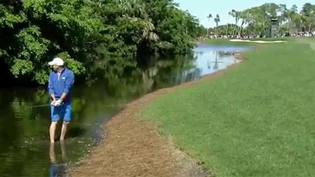 PGAAmateurGolf's tweet photo. Animal adventure for @TheSergioGarcia at PGA National: Makes eagle, avoids alligators. https://t.co/br15aFspO8 https://t.co/FhQIPJXkL6