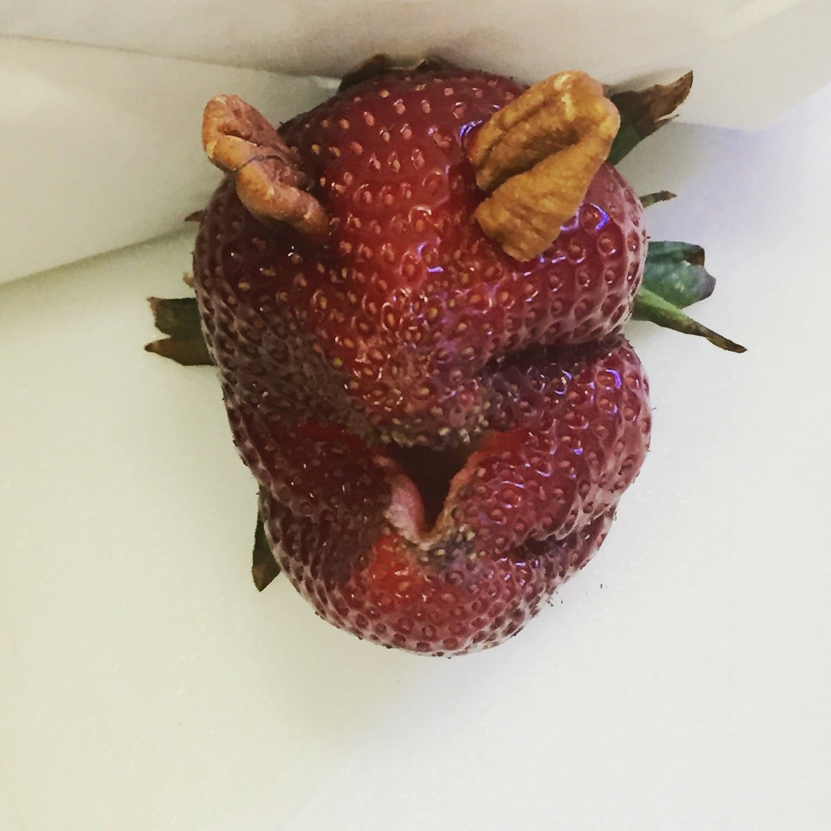 What do you see? #funnyfruit