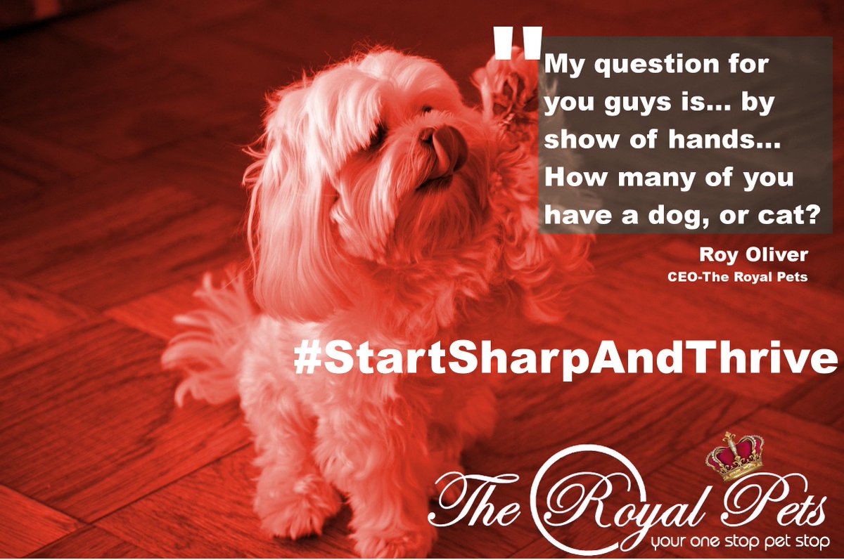 royalpets254's tweet photo. It was an honor to be among young innovators! Every need is a business opportunity! #StartSharpAndThrive https://t.co/qiTGHkcMrM