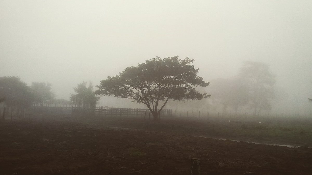 hectorosuna's tweet photo. En algún lugar de #Tabasco #Mexico https://t.co/USeqWQA2y9