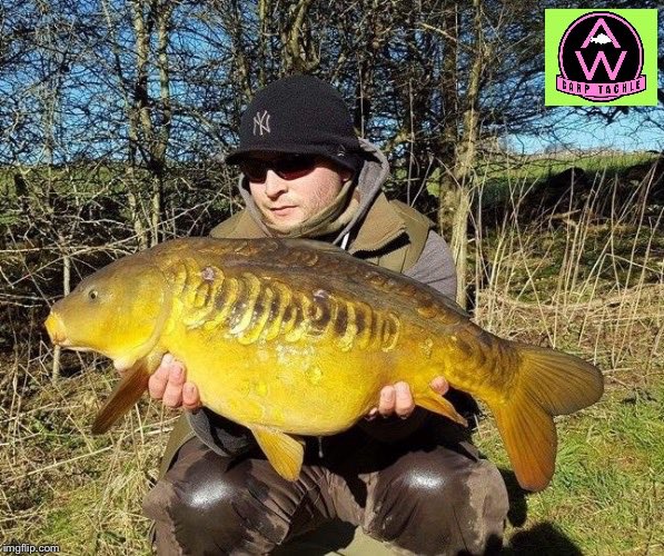 aw_tackle's tweet photo. ⭐️⭐️Danny Mason⭐️⭐️ on the chod!! https://t.co/mLZou8bniQ #awcarp #pins&needles https://t.co/aVL8omNt5V