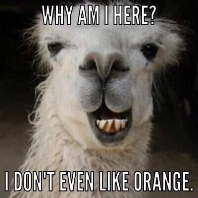 jkittkat's tweet photo. Here are three new hashtags for @RyanCFowler @TheGameWDGM who is on #ThePlains. #freethellamas #llamaland #warllama https://t.co/6hCtUHoK3i