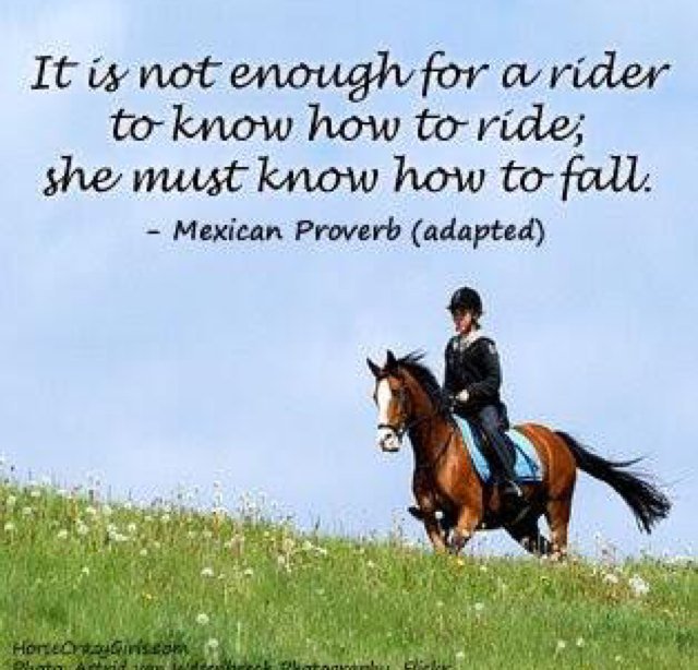 A rider must know how to fall!🐎#horses #equestrianhour #Equestrian