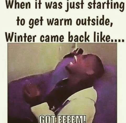 gd_dk's tweet image. 