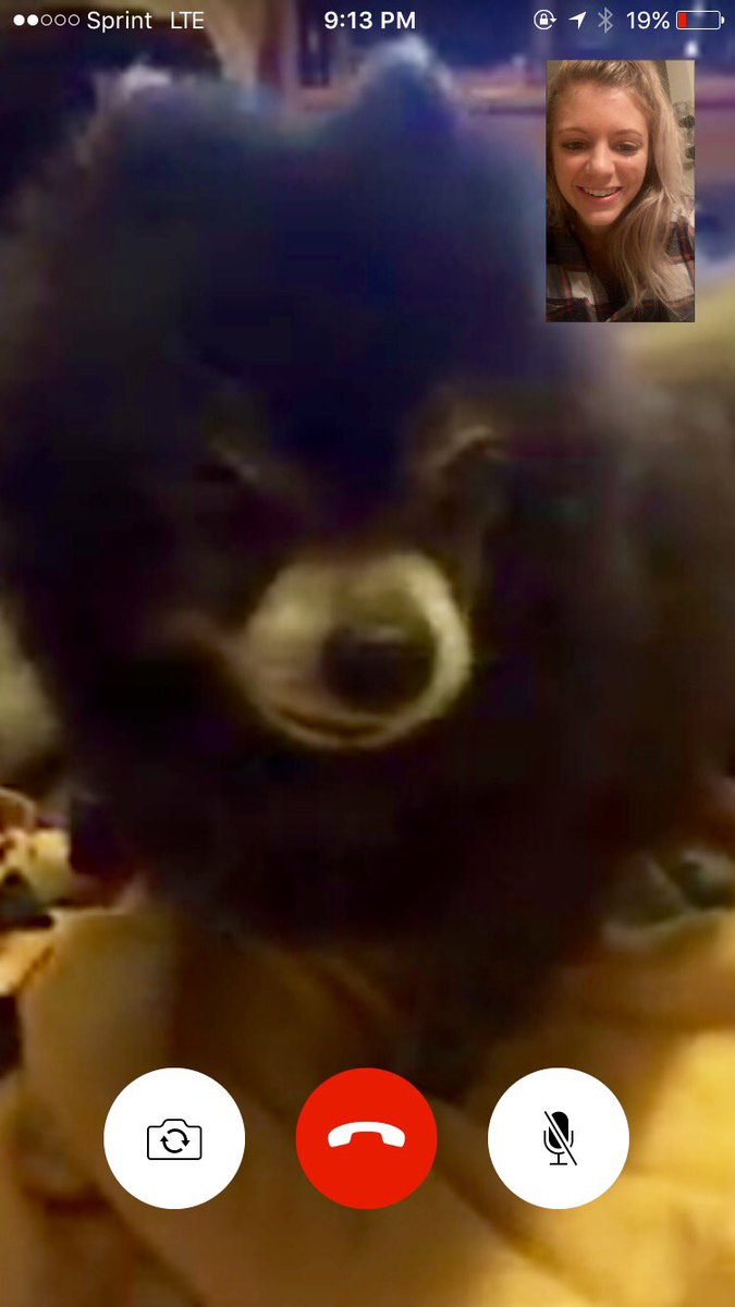 KaleighK_123's tweet photo. FaceTime date with skipper schettino🤗 https://t.co/ZYJR22xUFD