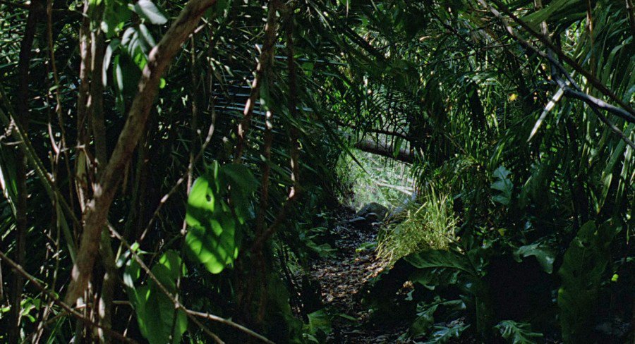 download the VIP of <a href="/FuntCaseUK/">FuntCase | DPMO</a>'s jump up dnb track "Predator" 

nesthq.com/funt-case-pred…