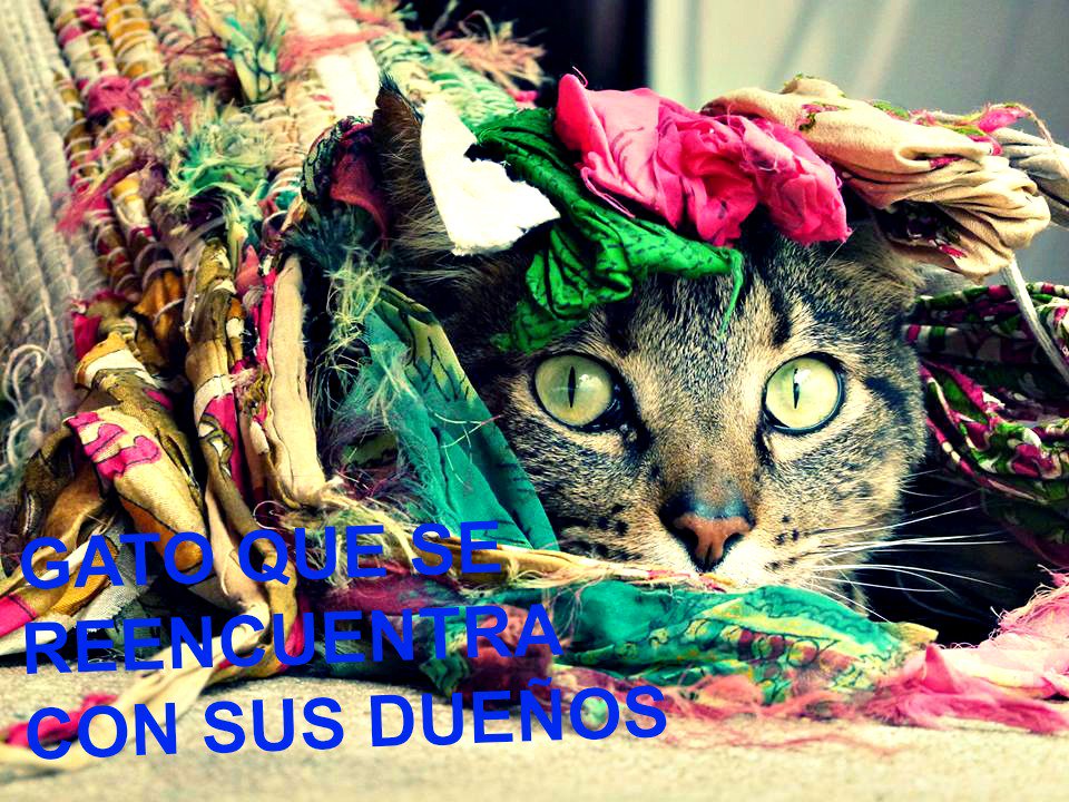 Vicky_iloveVS's tweet photo. https://t.co/AfXVr5Kop1 https://t.co/5SPlrZBaNN