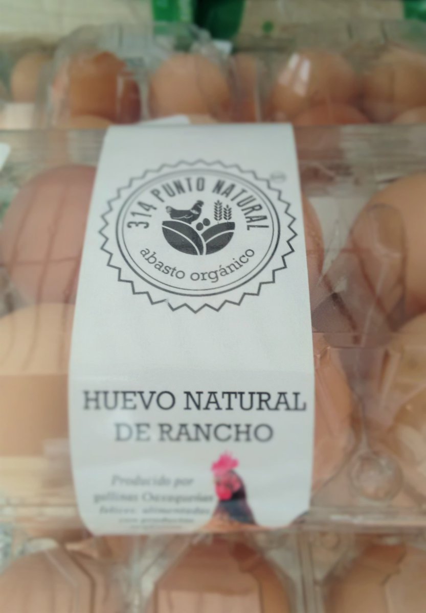 Rodrigo Pacheco Peral tweet media