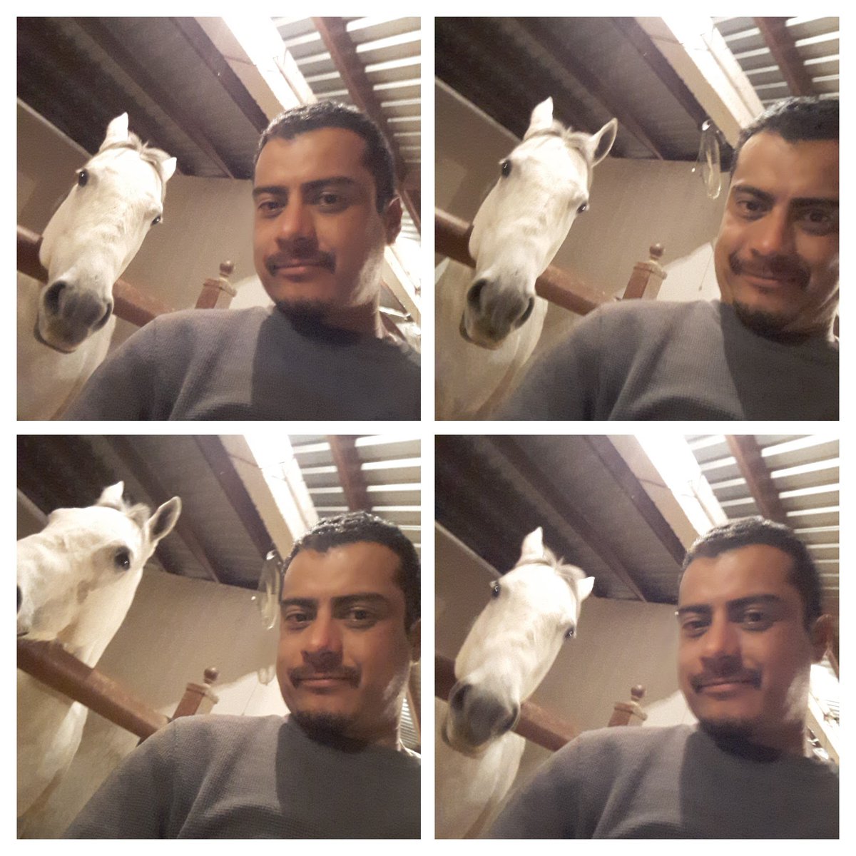 MsdJuan's tweet photo. El Karma! https://t.co/B1wtElHeVd