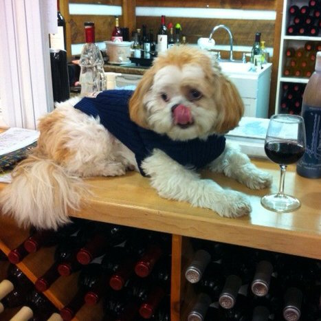 HReflectionsSC's tweet image. Spring Sale starts Saturday! Check it out! conta.cc/1RqVC7j