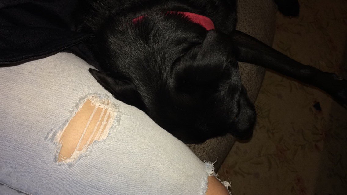 victoriaxxxl's tweet photo. I think he feels bad about my sandwich #fluffylegs https://t.co/OUnFK3SN7Z