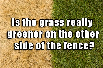 LawnTechUT's tweet image. Is the #grass greener on the other side of the fence? It is when you use #LawnTech as your lawn care professional.