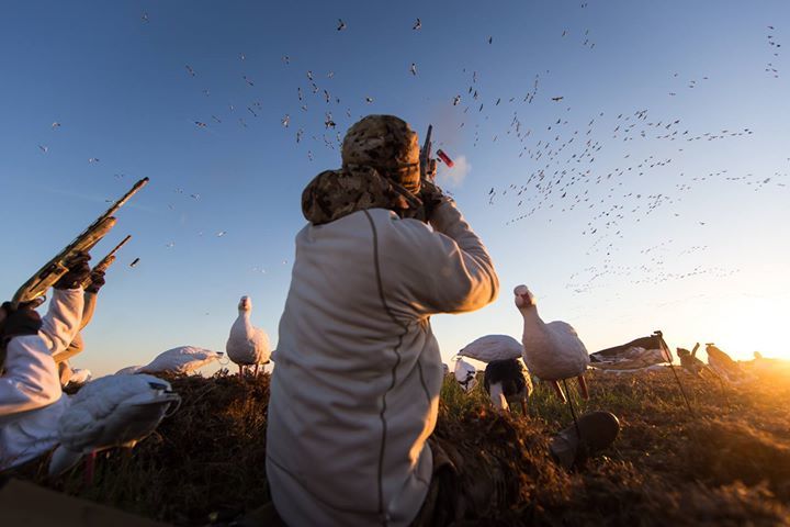 GORETEXhuntfish's tweet photo. Pick one and squeeze.

Photo: Seacat Creative https://t.co/f6d4impQtS