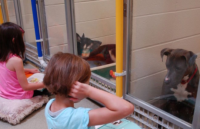 FabFitFun's tweet image. This uh-mazing program is helping kids get comfortable reading &amp;amp; helping pups get adopted fff.me/1QgTIHi