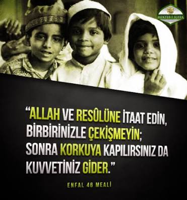 TanferCem tweet picture