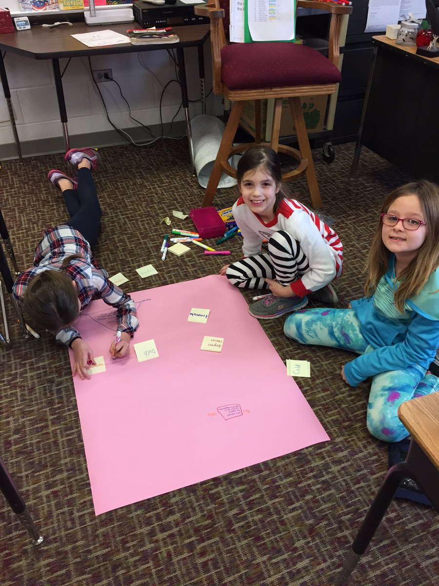 Susan Ruane tweet media